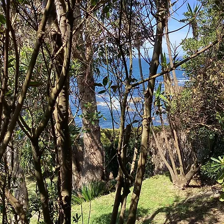 Apartment Precioso Estudio En Primera Linea Frente A Islas Cies Vigo