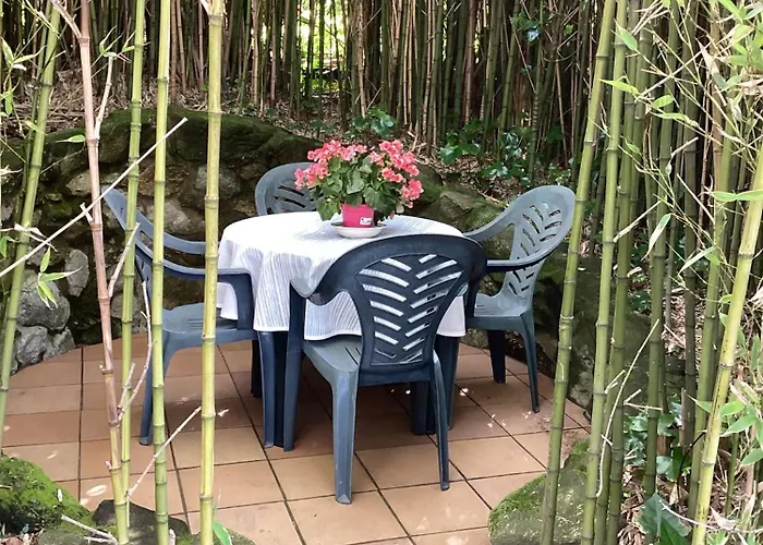 Precioso Estudio En Primera Linea Frente A Islas Cies * Vigo